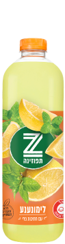 Tapuzina - Limonana Juice